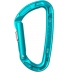 ICEMINT